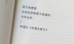 励志新闻爆料文案范文,逆境中的励志传奇！